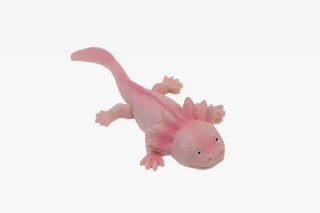 Obrázek z Magnet polyresin - axolotl 9,5cm  
